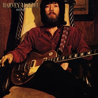 Afbeelding van Harvey Mandel Best of (LP)