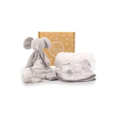 Afbeelding van baby Box Shop 6 Essentials voor pasgeboren Unisex, ideale shower geschenken &amp; doop geschenken, inclusief een dekbed, grijze capuchon babyhanddoek, mousseline doek, bodysuit