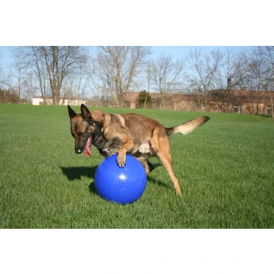 Afbeelding van Jolly Pets Push n play Blauw 15cm