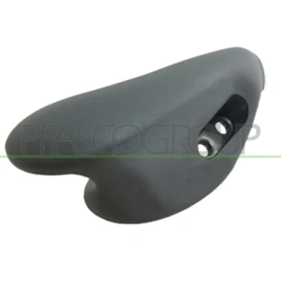 Afbeelding van Handgreep, interieur PRASCO FT9208407