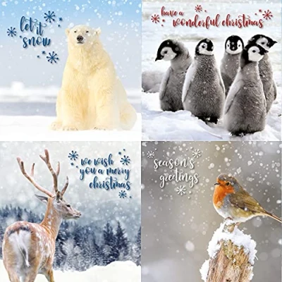 Afbeelding van Emotional Rescue kerstkaarten multi pack, 12 Pack kerstkaarten, 4 verschillende ontwerpen, pak van dieren kerstkaart