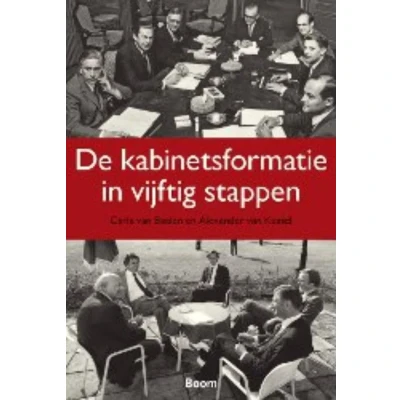 Afbeelding van De kabinetsformatie in vijftig stappen