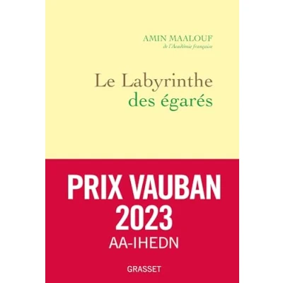 Afbeelding van Le labyrinthe des égarés: L&#039;Occident et ses adversaires