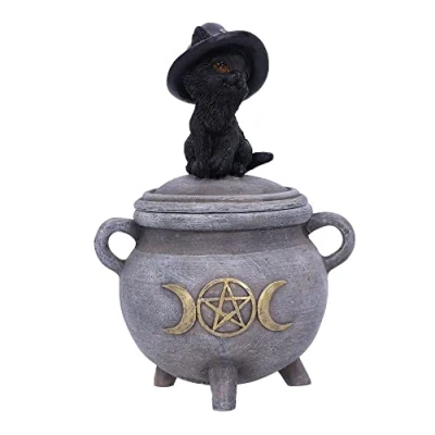 Afbeelding van Nemesis Now Decoratieve opbergdoos Kitty&#039;s Brew Multicolours