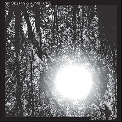 Afbeelding van Six Organs Of Admittance Luminous Night