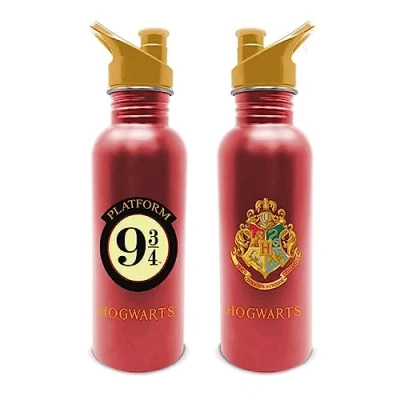 Afbeelding van Harry Potter Metal Canteen Bottle Platform 9 3/4