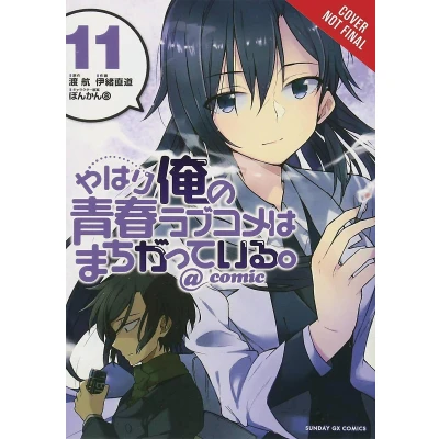 Afbeelding van YOUTH ROMANTIC COMEDY WRONG EXPECTED 11: Volume 11