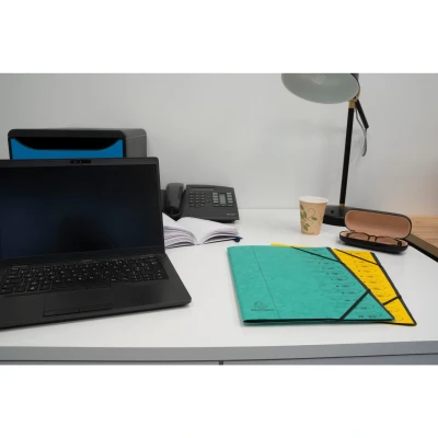 Afbeelding van Exacompta Ref. 540704E 1 Sorteermap met vaste rug en elastosluiting Omslag in bedrukte glanskarton binnenin zwart gerecycleerd karton 7 vakken formaat 24,5x 32 cm A4 Kleur: oranje