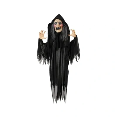 Afbeelding van Halloween Decoraties 120 x 100 18 cm Heks