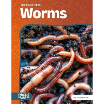 Afbeelding van Decomposers Worms