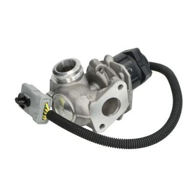 Afbeelding van Pierburg EGR klep 7.24809.91.0