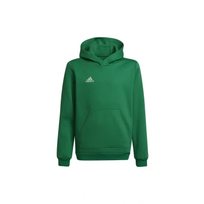 Afbeelding van adidas Performance Junior sporthoodie groen/wit