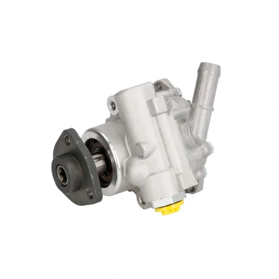 Afbeelding van Lauber Servopomp 55.9971