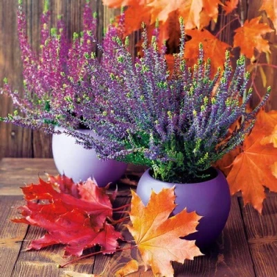 Afbeelding van 20 servetten herfstbladeren op bezemheide als tafeldecoratie voor de herfst 33 x cm