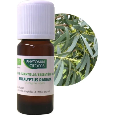 Afbeelding van Phytosun Essentiële Olie Eucalyptus Radiata Bio stimuleert de weerstand 10ml