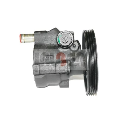 Afbeelding van Lauber Servopomp 55.0105