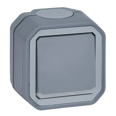Afbeelding van Legrand plexo 2p controle schakelaar met lamp compleet ip55 ik08 grijs 069726l