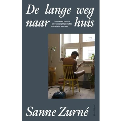 Afbeelding van De lange weg naar huis