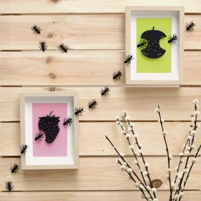 Afbeelding van Assembli Papieren 3D Insecten Mierenkolonie