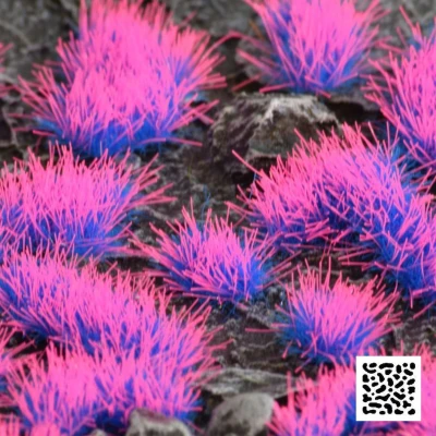 Afbeelding van Alien Neon 4Mm Wild