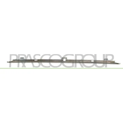 Afbeelding van Sier / beschermingspaneel, bumper PRASCO BM0441249
