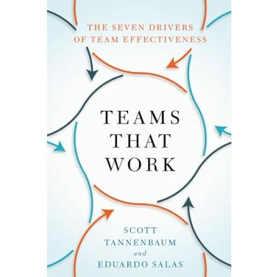 Afbeelding van Teams That Work: The Seven Drivers of Team Effectiveness