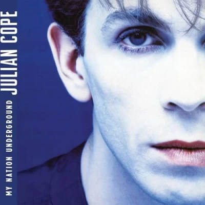 Afbeelding van Julian Cope My Nation Underground (LP)