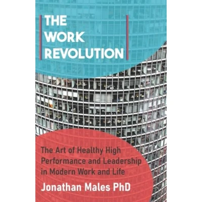 Afbeelding van the Work Revolution: Performance and Leadership in Modern World