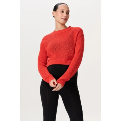 Afbeelding van Trui Pablo Tangerine Tango S