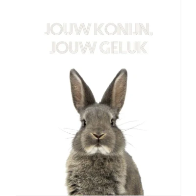 Afbeelding van jouw konijn, geluk (Hardback)