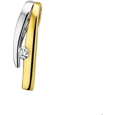 Afbeelding van Trendjuwelier huiscollectie Hanger Bicolor Goud Diamant 0.035ct H SI