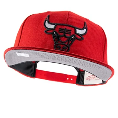 Afbeelding van Mitchell &amp; Ness NBA Chicago Bulls Pet, Heren, Maat: One Size, Red