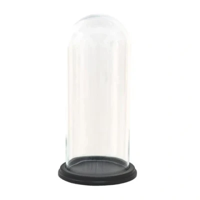 Afbeelding van Clayre &amp; Eef Transparente Stolp Ø 17*25 cm 6GL3472