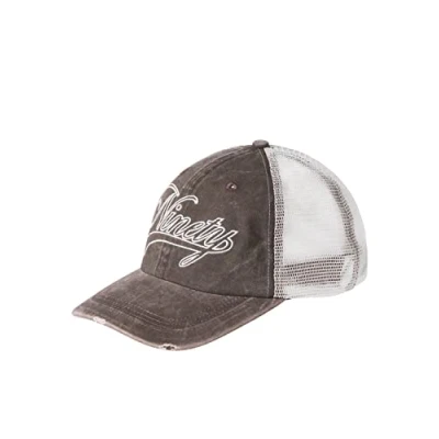 Afbeelding van JACK &amp; JONES Jacteam Trucker Cap voor heren, bruin (chestnut), Eén maat