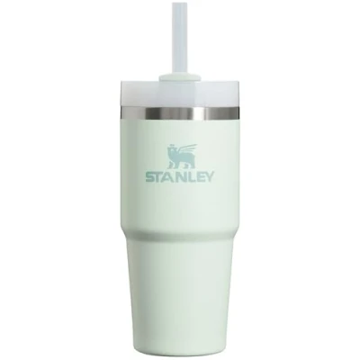 Afbeelding van STANLEY Quencher H2.0 FlowState roestvrij staal vacuüm geïsoleerde beker met deksel en rietje voor water, ijsthee of koffie, smoothie meer, mist, 14 oz