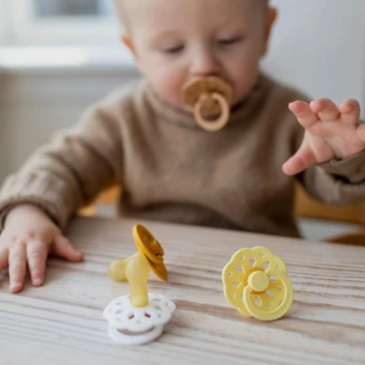 Afbeelding van BiBS Boheme Pacifier Stage 1 Fopspeen 2 stuks Woodchuck / Blush