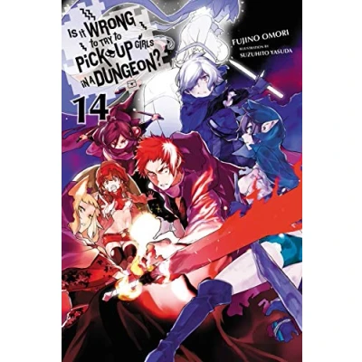 Afbeelding van IS WRONG PICK UP GIRLS DUNGEON NOVEL 14: Volume 14