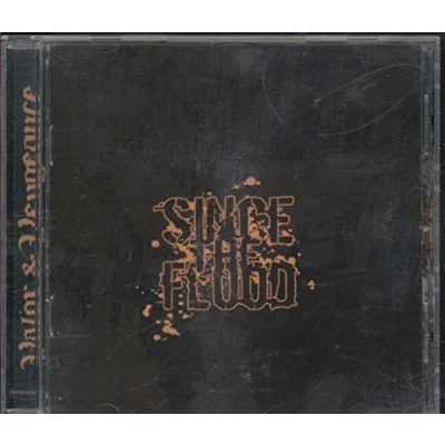 Afbeelding van Since The Flood Valor And Vengeance (CD)