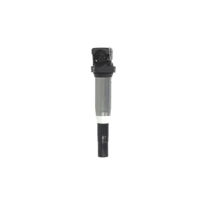 Afbeelding van Bobine DELPHI GN10571 12B1