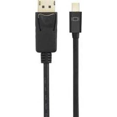 Afbeelding van Renkforce RF 4538176 DisplayPort kabel Mini / Adapterkabel stekker, stekker 2.00 m Zwart Vergulde