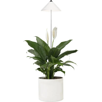 Afbeelding van Venso LED Pflanzenlampe SUNLiTE 24V fest eingebaut 7W Neutral white 1St.