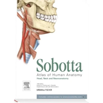 Afbeelding van Sobotta Atlas of Human Anatomy, Vol. 3, 15th ed., English/Latin