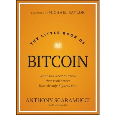 Afbeelding van The Little Book of Bitcoin: What You Need to Know that Wall Street Has Already Figured Out