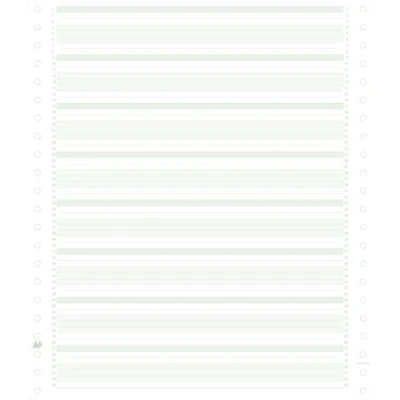 Afbeelding van Exacompta 62211E Verpakking met 2000 vellen computerpapier eindeloos, 240 mm x 11 inch (27,94 cm) 1 voudig, gelinieerd 60 g/m², groen/wit