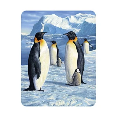Afbeelding van 3D LiveLife Magneet Antarctica van Deluxebase. Lenticulaire Pinguïn Koelkastmagneet. Magnetisch decor voor kinderen en volwassenen met kunstwerk de bekende kunstenaar Robert Hautman