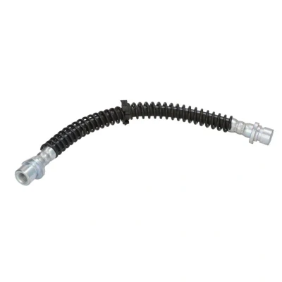Afbeelding van Remslang DELPHI LH6176