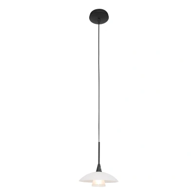 Afbeelding van Steinhauer Hanglamp Tallerken Zwart
