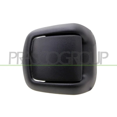 Afbeelding van Handgreep, interieur PRASCO FD3448404
