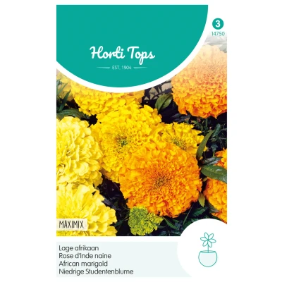 Afbeelding van Tagetes, lage Afrikaan Maximix