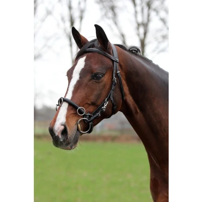 Afbeelding van Horka Kaptoom Leder